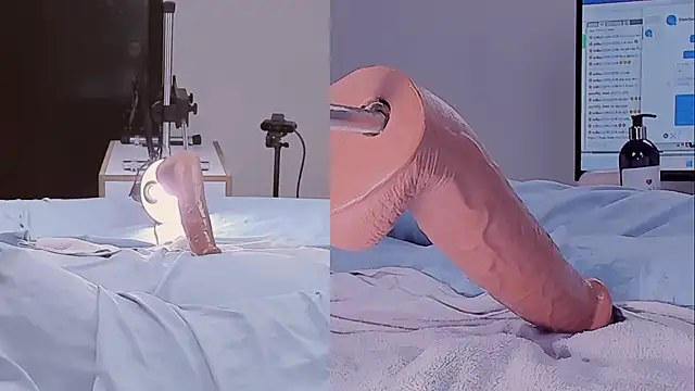 Amellia_rous's cam snapshot