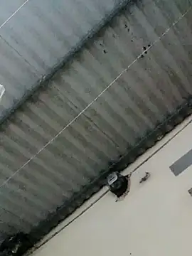 Sana-vn's cam snapshot