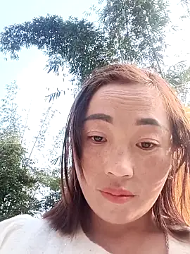 seacyre's cam snapshot