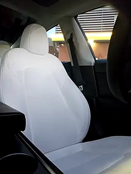 Roddog18 live sex cam