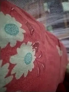 mozammel008xr live sex cam