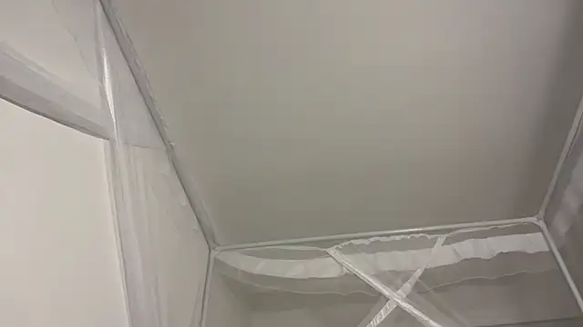 shandiloveslemonss's cam snapshot