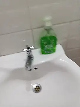 Ariasmithog's cam snapshot