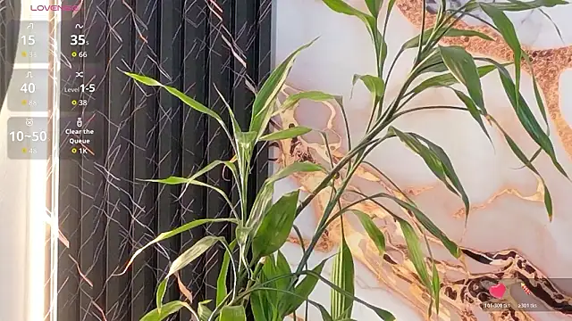 Shasa_8's cam snapshot