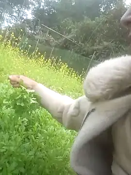 bla-foxx's cam snapshot