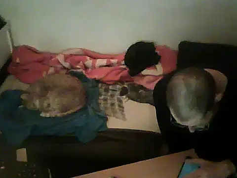 schmidtler35's cam snapshot