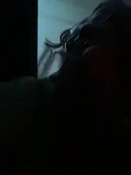 Vixroy7's cam snapshot