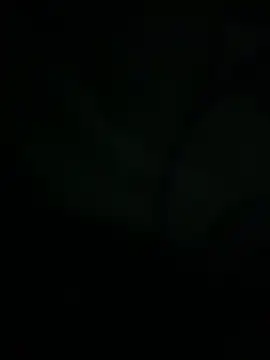 Josephii live sex cam