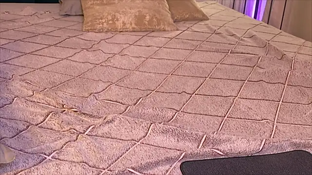 viviann_evans's cam snapshot