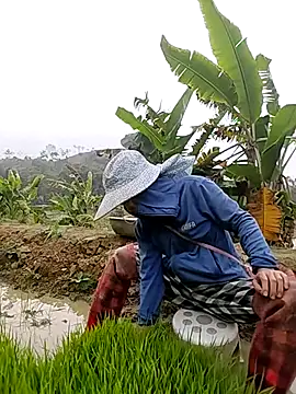 Tin_tanny's cam snapshot