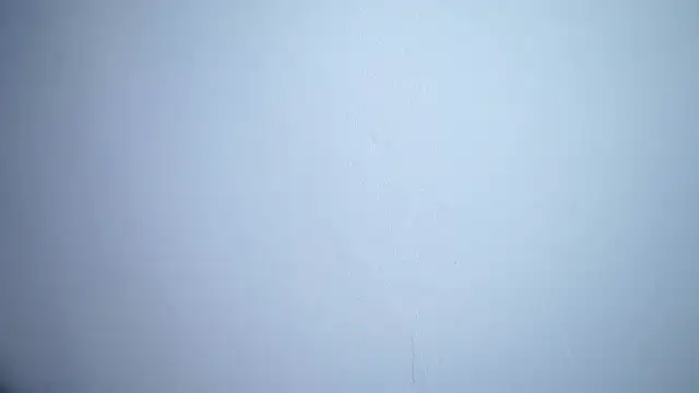 CataleyaSyrene's cam snapshot