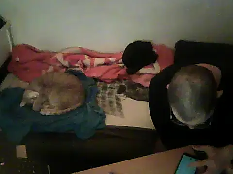 schmidtler35's cam snapshot