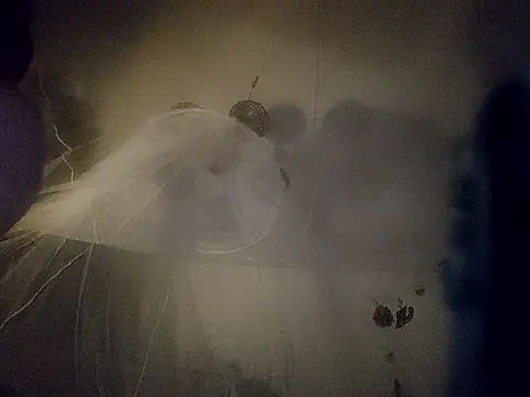 erbod_Johnny live sex cam