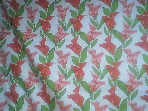 SweetPussie18x's cam snapshot