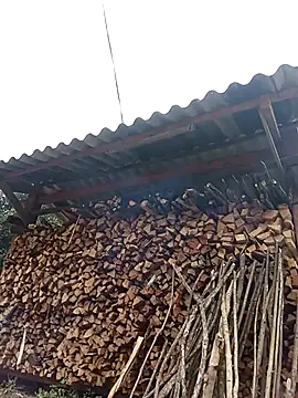 Ngocmi909's cam snapshot