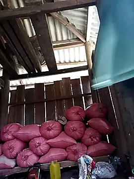 Ngocmi909's cam snapshot