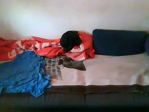 schmidtler35's cam snapshot