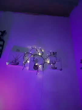 Solaangel_'s cam snapshot