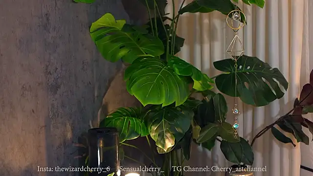 sensualcherry_'s cam snapshot