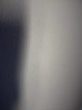 TayylorSexx's cam snapshot