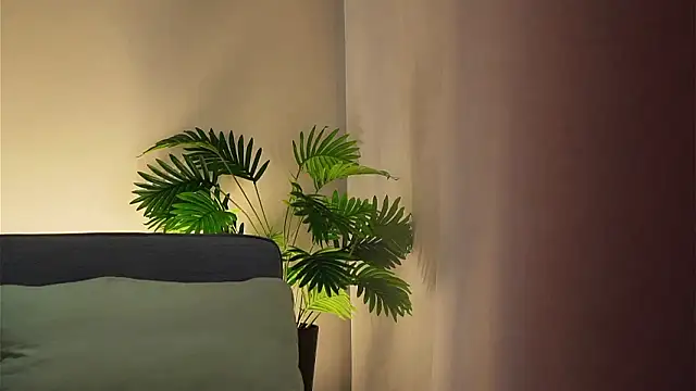 akumadadrive's cam snapshot