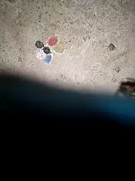 Raj-rajendri__sexy24's cam snapshot