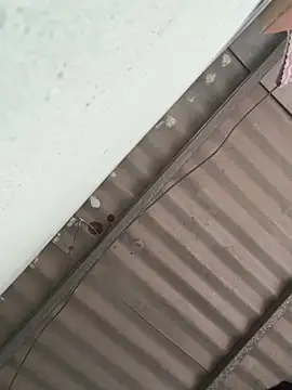 MEFUN-'s cam snapshot