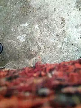 Raj-rajendri__sexy24's cam snapshot