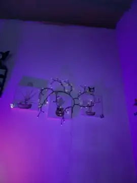 Solaangel_'s cam snapshot