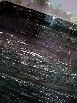 dolphiinn's cam snapshot