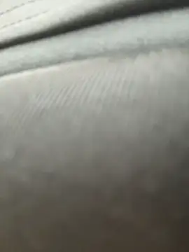 KiraSunshine live sex cam