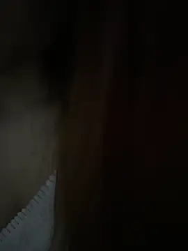 Spring-spring's cam snapshot