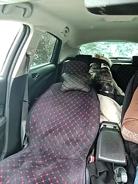 -Pupsiki- live sex cam