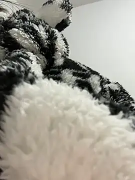 daaqnn's cam snapshot