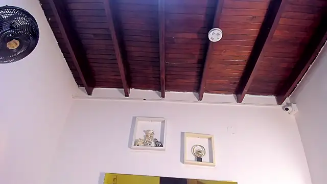 vahiolet_fuentes's cam snapshot