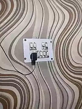 meenu_bhabhi547's cam snapshot