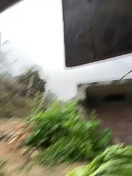 Saomai25's cam snapshot