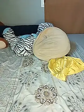 Nare-25's cam snapshot