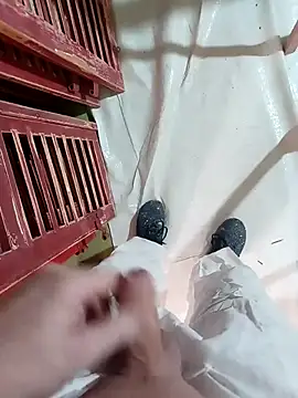 GeilerSchweizer live sex cam