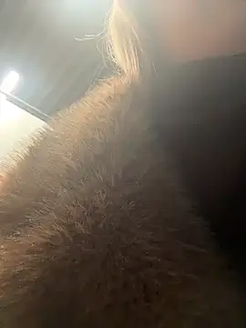 SashaCatt live sex cam