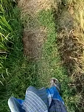 dolphiinn's cam snapshot