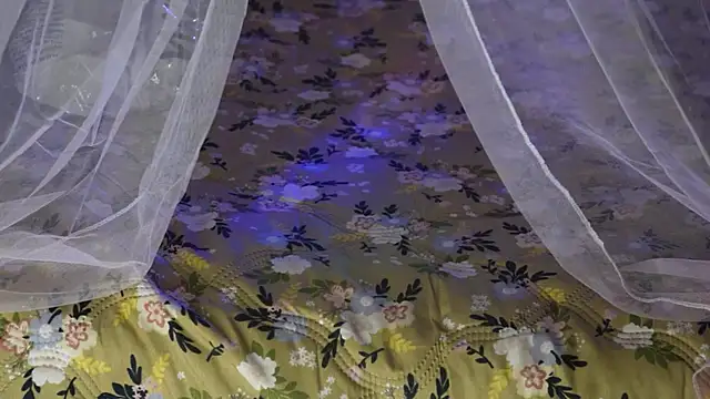 -AyeshaSinghania-'s cam snapshot