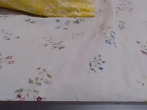 sweet-fancy's cam snapshot