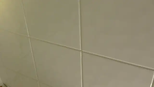 PrettyVixen's cam snapshot