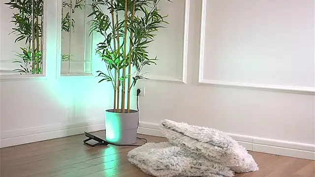 Cherrysweett's cam snapshot