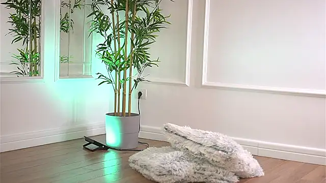 Cherrysweett's cam snapshot