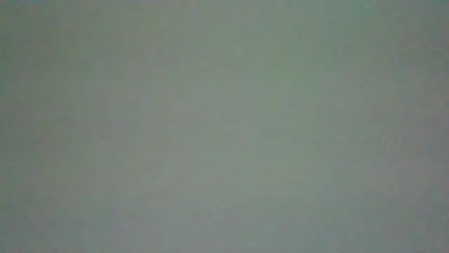 collage_hoty's cam snapshot