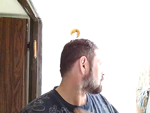 zefside42's cam snapshot