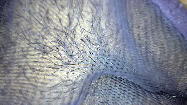 white_sexy_'s cam snapshot