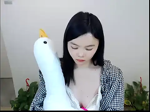 Shaurk's cam snapshot